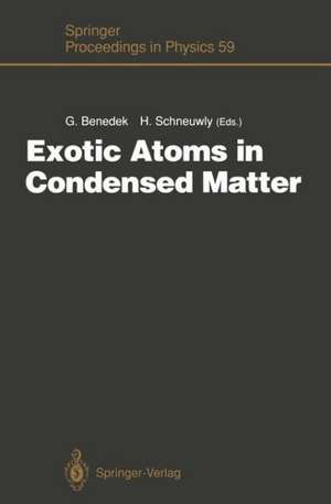 Exotic Atoms in Condensed Matter: Proceedings of the Erice Workshop at the Ettore Majorana Centre for Scientific Culture, Erice, Italy, May 19 – 25, 1990 de Giorgio Benedek