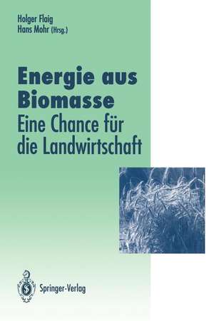 Energie aus Biomasse: — eine Chance für die Landwirtschaft de Holger Flaig