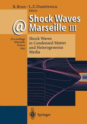 Shock Waves @ Marseille III: Shock Waves in Condensed Matter and Heterogeneous Media de Raymond Brun