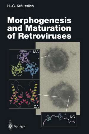 Morphogenesis and Maturation of Retroviruses de Hans-Georg Kräusslich