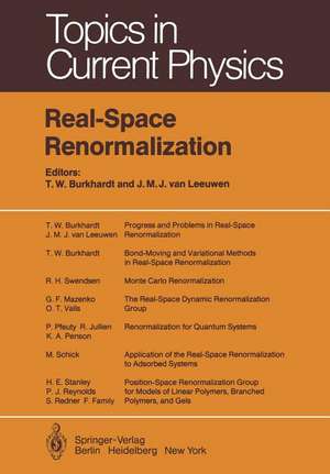 Real-Space Renormalization de T.W. Burkhardt