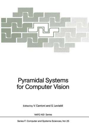 Pyramidal Systems for Computer Vision de Virginio Cantoni