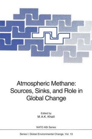 Atmospheric Methane: Sources, Sinks, and Role in Global Change de M. A. K. Khalil