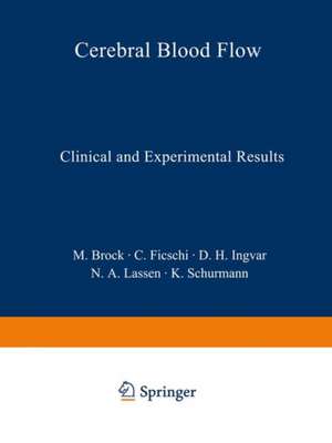 Cerebral Blood Flow: Clinical and Experimental Results de Mario Brock