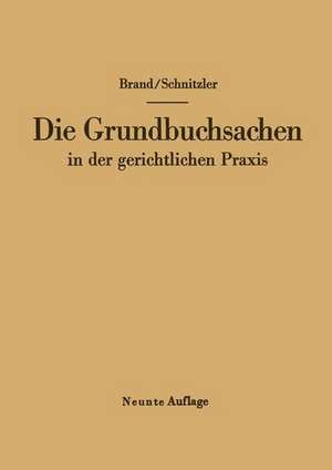 Die Grundbuchsachen in der gerichtlichen Praxis de Arthur Brand