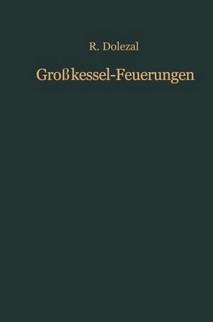 Großkessel-Feuerungen: Theorie, Bau und Regelung de Richard Dolezal