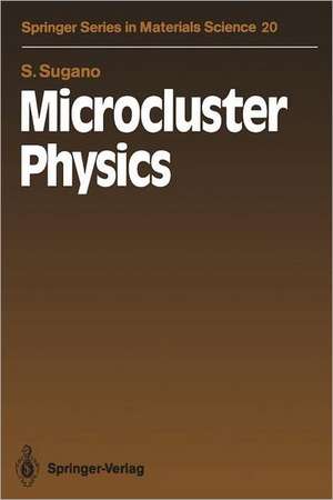 Microcluster Physics de Satoru Sugano