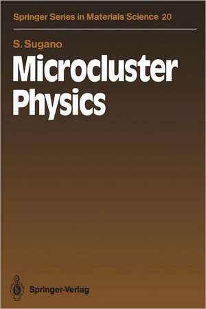 Sugano, S: Microcluster Physics