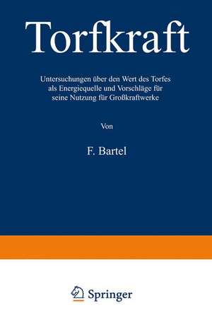 Torfkraft: Untersuchungen über den Wert des Torfes als Energiequelle und Vorschläge für seine Nutzung für Großkraftwerke de Friedrich Bartel