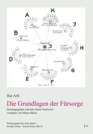 Die Grundlagen der Fürsorge de Ilse Arlt