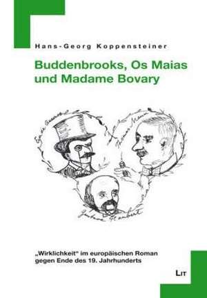 Buddenbrooks, Os Maias und Madame Bovary de Hans-Georg Koppensteiner