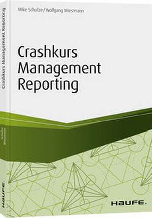 Crashkurs Management Reporting de Mike Schulze