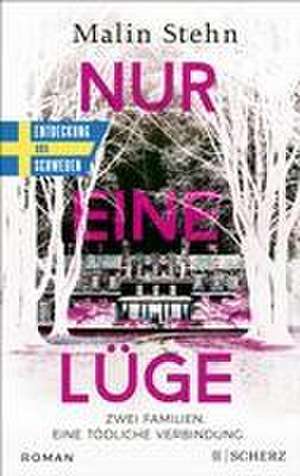 Nur eine Lüge - Zwei Familien, eine tödliche Verbindung de Malin Stehn