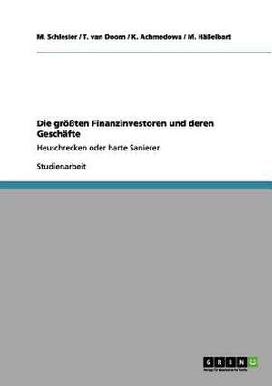 Die größten Finanzinvestoren und deren Geschäfte de K. Achmedowa