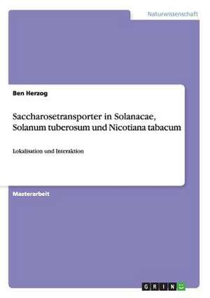 Saccharosetransporter in Solanacae, Solanum tuberosum und Nicotiana tabacum de Ben Herzog