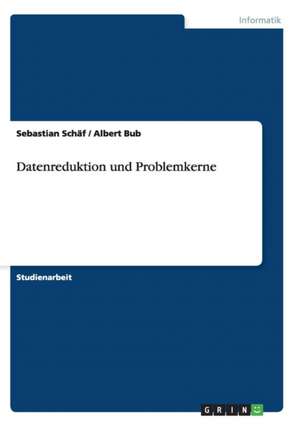 Datenreduktion und Problemkerne de Albert Bub