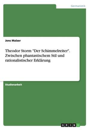 Theodor Storm "Der Schimmelreiter". Zwischen phantastischem Stil und rationalistischer Erklärung de Jens Malzer