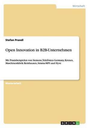 Open Innovation in B2B-Unternehmen de Stefan Prandl