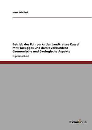 Betrieb des Fuhrparks des Landkreises Kassel mit Flüssiggas und damit verbundene ökonomische und ökologische Aspekte de Marc Schölzel