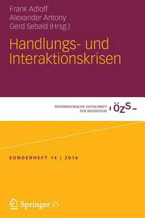 Handlungs- und Interaktionskrisen de Frank Adloff