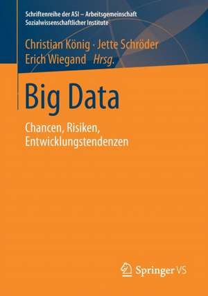 Big Data: Chancen, Risiken, Entwicklungstendenzen de Christian König