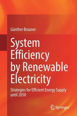 System Efficiency by Renewable Electricity: Strategies for Efficient Energy Supply until 2050 de Günther Brauner