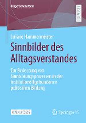 Sinnbilder des Alltagsverstandes: Zur Bedeutung von Sinnbildungsprozessen in der institutionell gebundenen politischen Bildung de Juliane Hammermeister