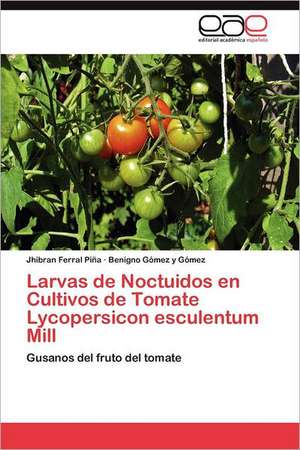 Larvas de Noctuidos En Cultivos de Tomate Lycopersicon Esculentum Mill