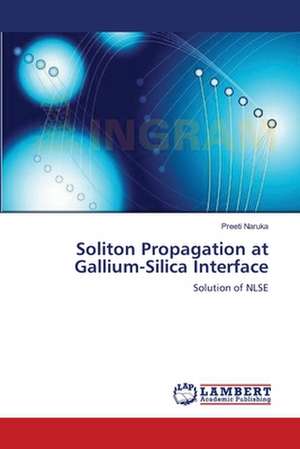 Soliton Propagation at Gallium-Silica Interface de Preeti Naruka