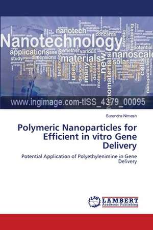 Polymeric Nanoparticles for Efficient in vitro Gene Delivery de Surendra Nimesh