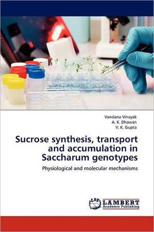 Sucrose synthesis, transport and accumulation in Saccharum genotypes de Vandana Vinayak