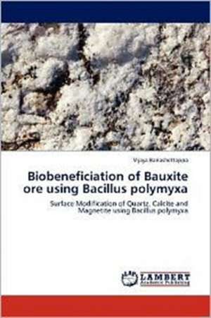 Biobeneficiation of Bauxite ore using Bacillus polymyxa de Vijaya Banashettappa