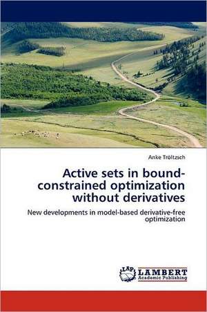 Active sets in bound-constrained optimization without derivatives de Anke Tröltzsch