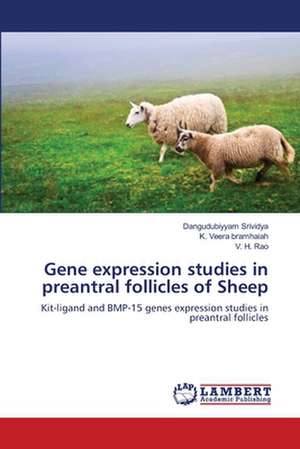 Gene expression studies in preantral follicles of Sheep de Dangudubiyyam Srividya