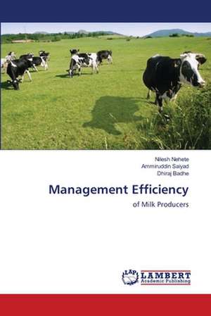 Management Efficiency de Nilesh Nehete