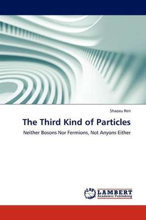 The Third Kind of Particles de Ren Shaoxu