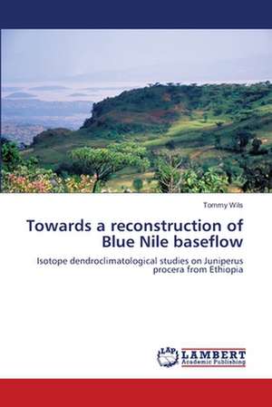 Towards a reconstruction of Blue Nile baseflow de Tommy Wils