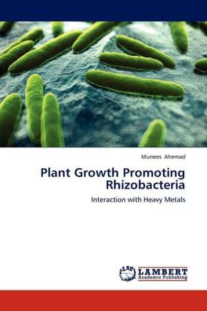 Plant Growth Promoting Rhizobacteria de Ahemad Munees