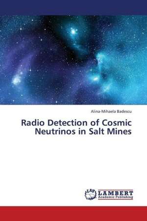 Radio Detection of Cosmic Neutrinos in Salt Mines de Badescu Alina-Mihaela