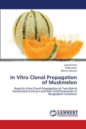 In Vitro Clonal Propagation of Muskmelon de Al Faria Laila