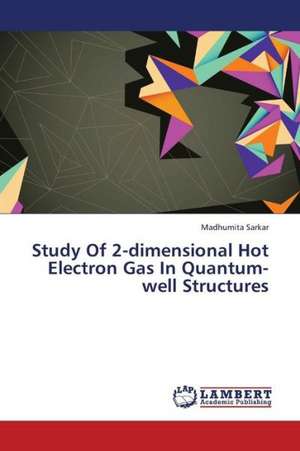 Study Of 2-dimensional Hot Electron Gas In Quantum-well Structures de Sarkar Madhumita