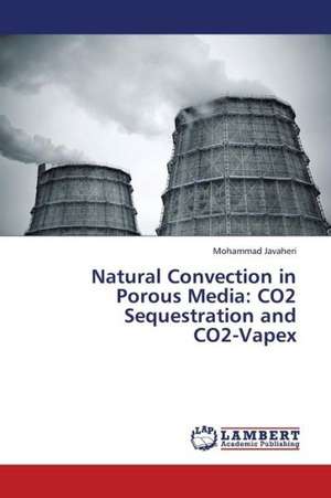 Natural Convection in Porous Media: CO2 Sequestration and CO2-Vapex de Javaheri Mohammad