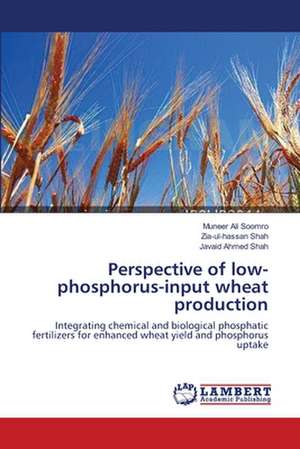 Perspective of low-phosphorus-input wheat production de Soomro Muneer Ali