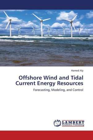 Offshore Wind and Tidal Current Energy Resources de Aly Hamed