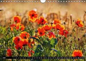 Mohn-Träume auf dem Land (Wandkalender immerwährend DIN A4 quer) de Lutz Klapp