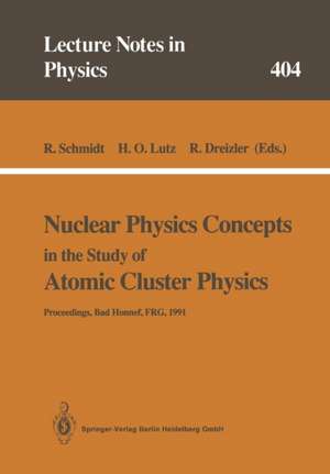 Nuclear Physics Concepts in the Study of Atomic Cluster Physics: Proceedings of the 88th WE-Heraeus-Seminar Held at Bad Honnef, FRG, 26–29 November 1991 de Rüdiger Schmidt