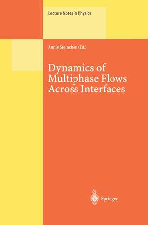 Dynamics of Multiphase Flows Across Interfaces de Annie Steinchen