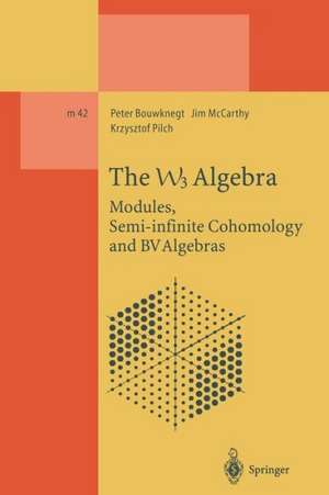 The W3 Algebra: Modules, Semi-infinite Cohomology and BV Algebras de Peter Bouwknegt