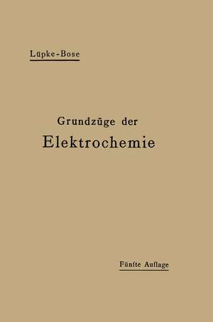 Grundzüge der Elektrochemie auf experimenteller Basis de Robert Luepke