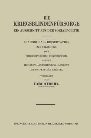 Die Kriegsblindenfürsorge: Ein Ausschnitt aus der Sozialpolitik de Carl Strehl